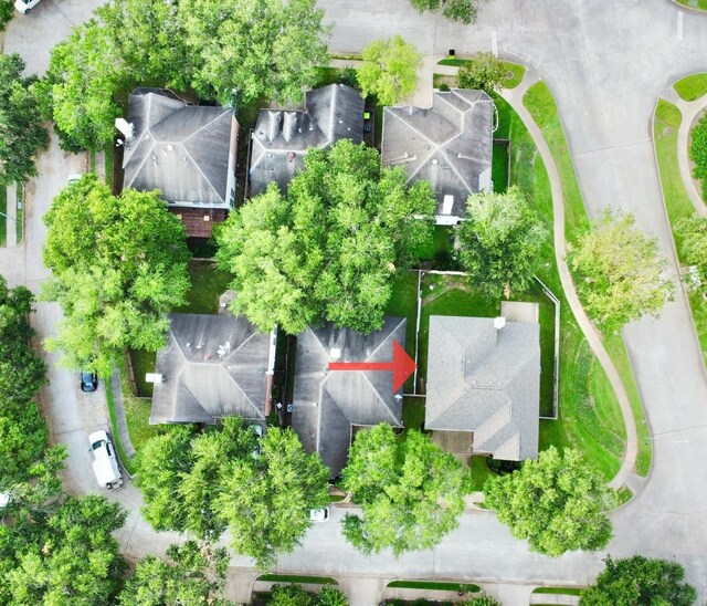 bird's eye view