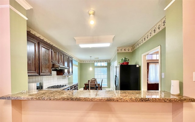kitchen featuring tasteful backsplash, stainless steel appliances, dark brown cabinetry, under cabinet range hood, and a peninsula