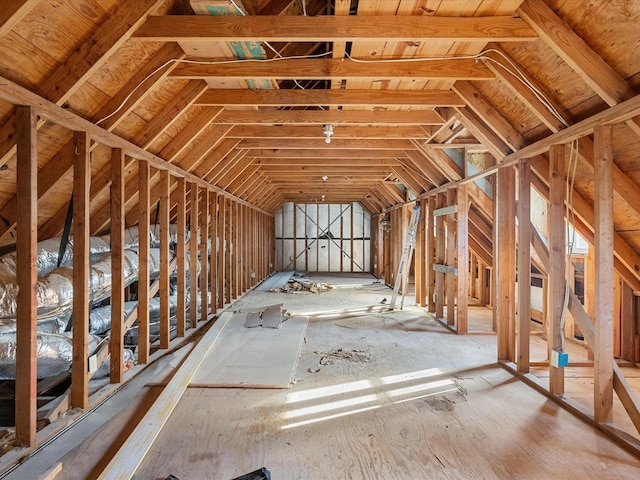 3003 Sky Ranch Dr, Alvin, TX 77511 - view of attic