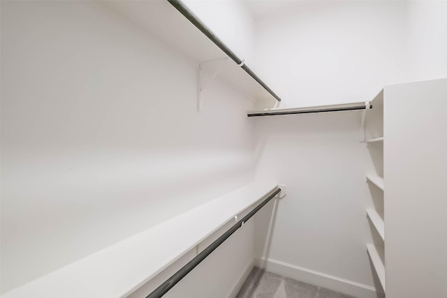 19622 Upper Canyon Ct, Cypress, TX 77433 - walk in closet with light colored carpet