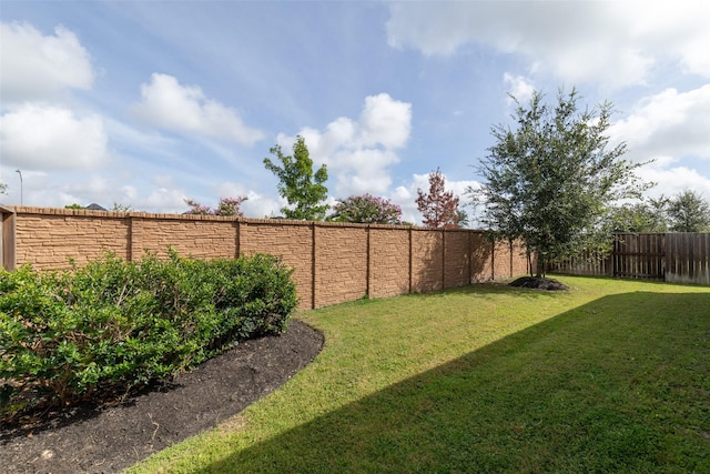 6930 Goldstrum Way, Katy, TX 77493 - view of yard with a fenced backyard