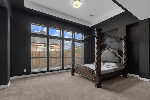 13811 Sugar Dock Ct, Houston, TX 77044 - bedroom featuring carpet floors and a raised ceiling
