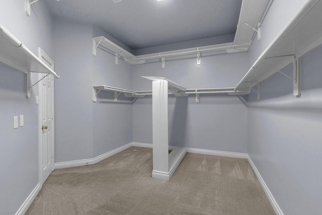 13811 Sugar Dock Ct, Houston, TX 77044 - spacious closet with carpet