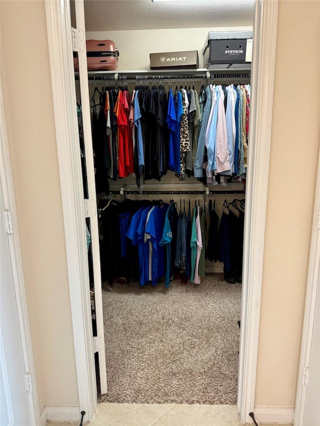 spacious closet featuring carpet