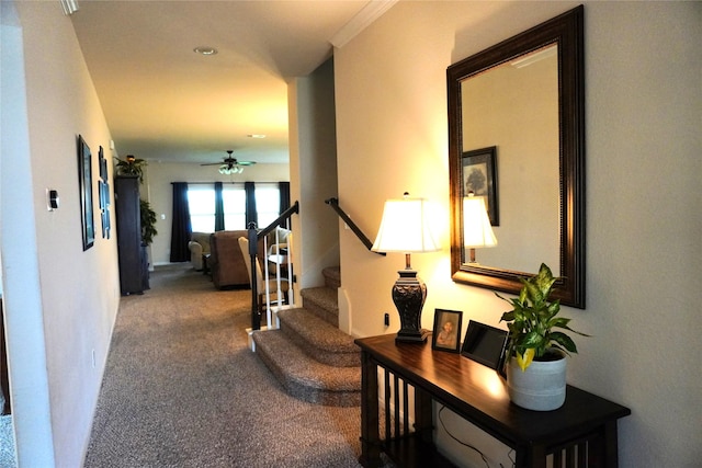 hallway featuring stairway and carpet