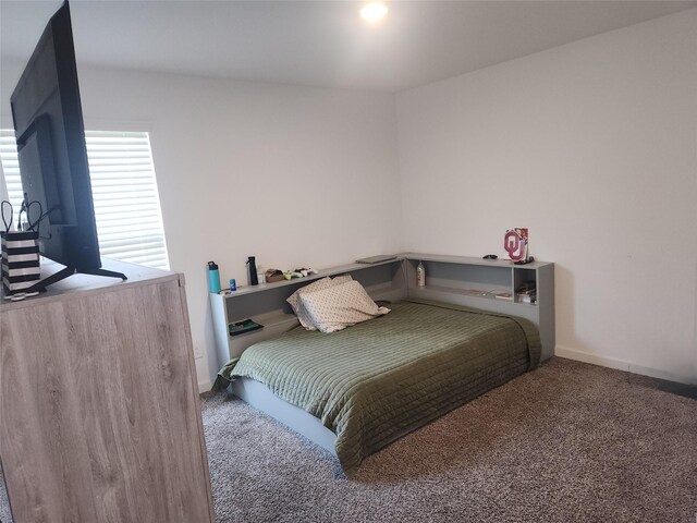 30042 Ousel Falls Ln, Katy, TX 77494 - carpeted bedroom with baseboards