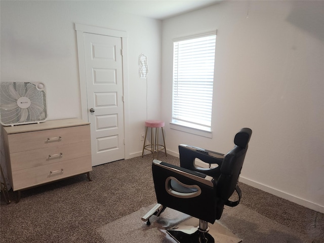 30042 Ousel Falls Ln, Katy, TX 77494 - sitting room with dark colored carpet, plenty of natural light, and baseboards