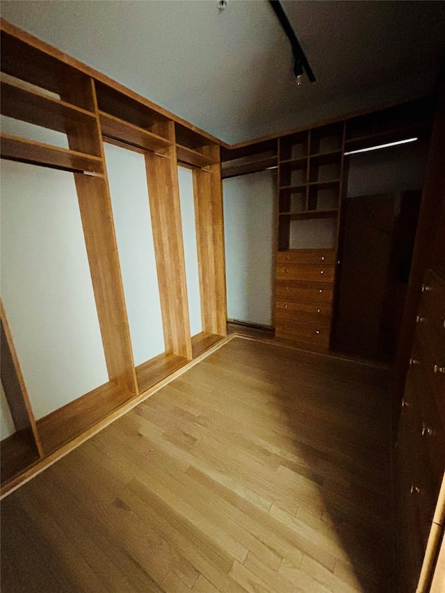 spacious closet with light wood-style flooring