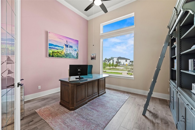 office featuring crown molding, a ceiling fan, baseboards, and light wood finished floors