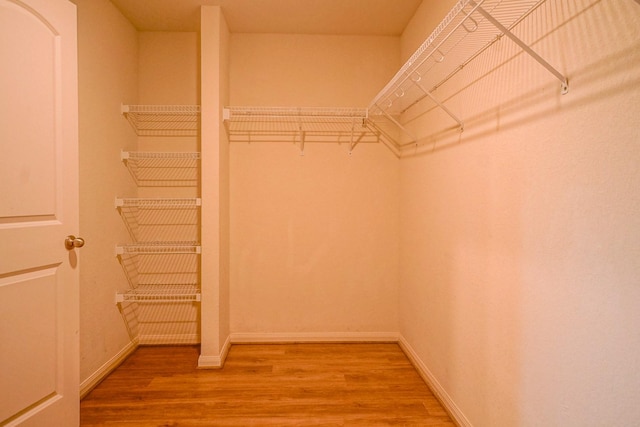 walk in closet with light wood-type flooring