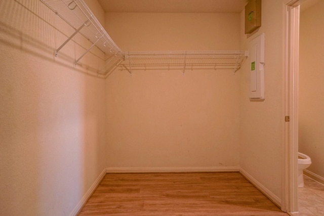spacious closet with light wood finished floors and electric panel