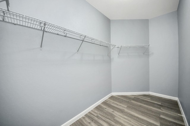 walk in closet featuring wood finished floors