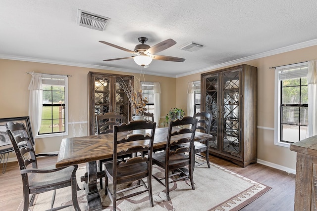 dining room with visible vents, light wood-style floors, and plenty of natural light