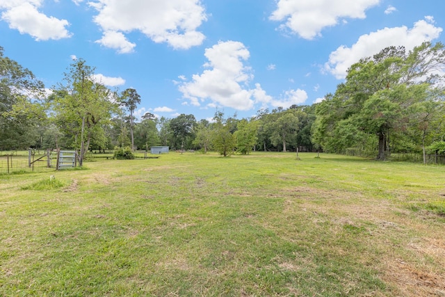 view of yard featuring fence, a rural view, and a forest view