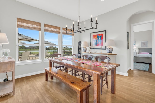 dining area featuring baseboards, a healthy amount of sunlight, and light wood-style floors