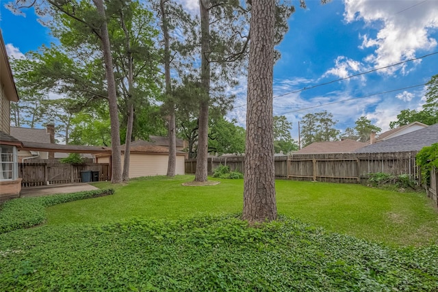 view of yard featuring a fenced backyard and a patio area