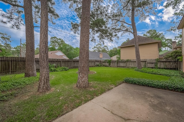 view of yard with a fenced backyard and a patio area