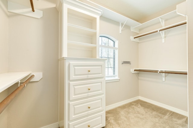 51 Scotch Pine Ct, Lake Jackson, TX 77566 - spacious closet with light colored carpet