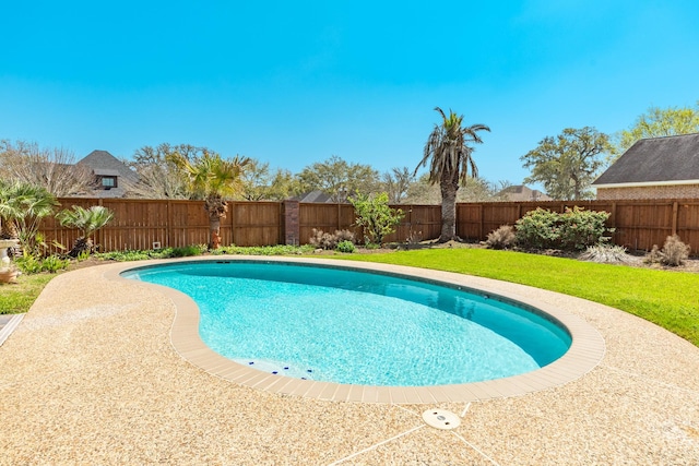 51 Scotch Pine Ct, Lake Jackson, TX 77566 - view of swimming pool with a lawn, a fenced in pool, and a fenced backyard