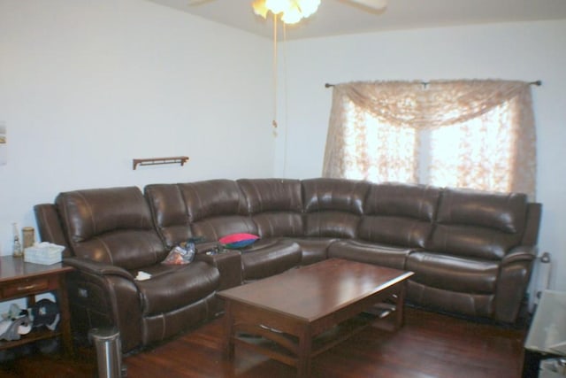 living area with a ceiling fan and wood finished floors
