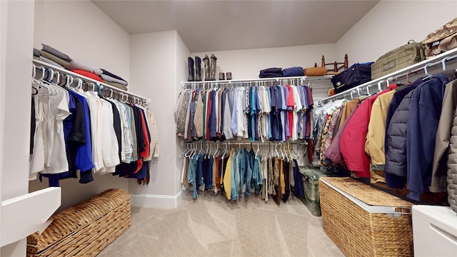 walk in closet with carpet flooring