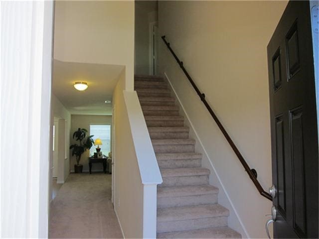 stairs with carpet flooring