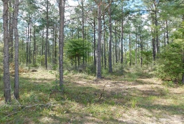 TBD Martin Cochran Rd, Huntington, TX 75949