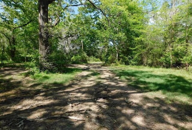 TBD Martin Cochran Rd, Huntington, TX 75949