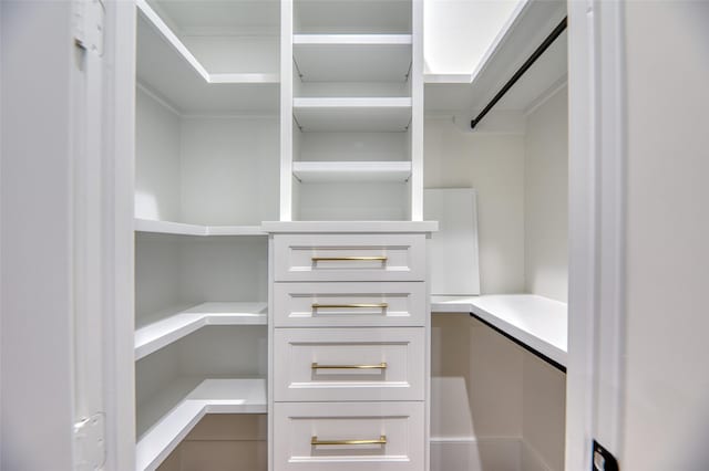 view of walk in closet
