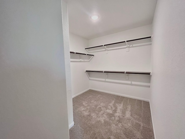 312 N Orange St, Sweeny, TX 77480 - walk in closet featuring carpet flooring