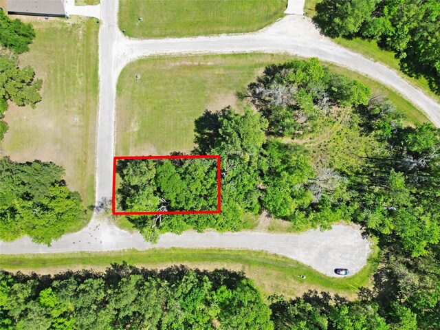 4 Drywood Ln, Huntsville, TX 75862 - photo 3
