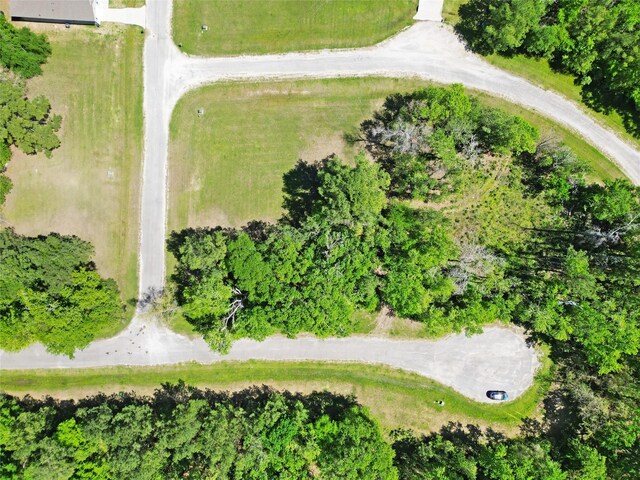 4 Drywood Ln, Huntsville, TX 75862 - photo 4