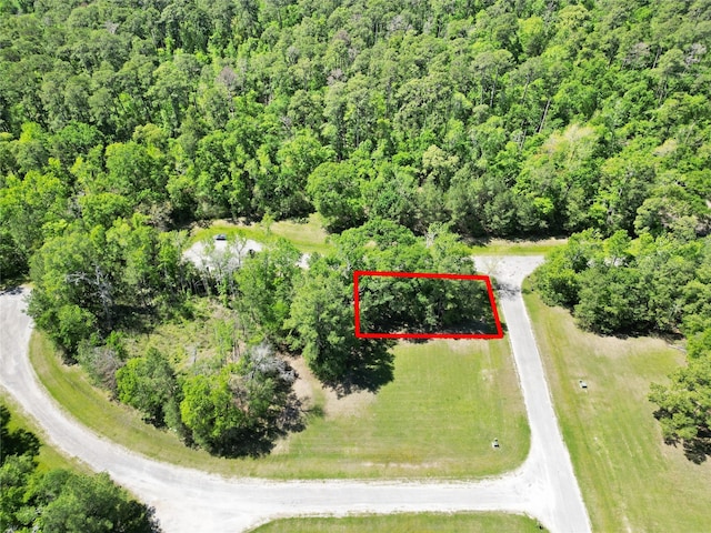4 Drywood Ln, Huntsville, TX 75862 - photo 5
