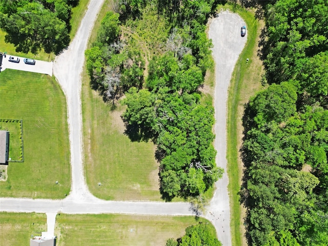 4 Drywood Ln, Huntsville, TX 75862 - photo 7