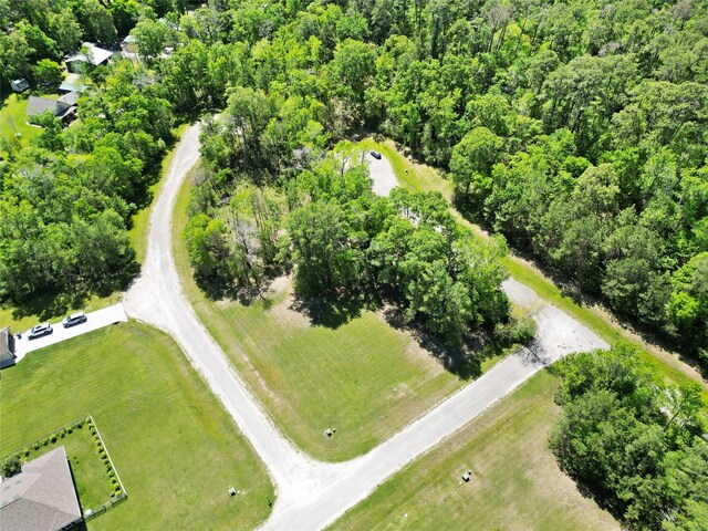 4 Drywood Ln, Huntsville, TX 75862 - photo 11