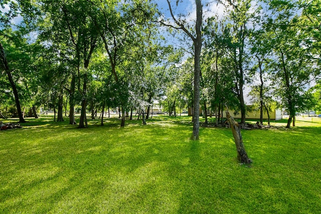 8819 Aubrey Ln, Richmond, TX 77469 - view of yard