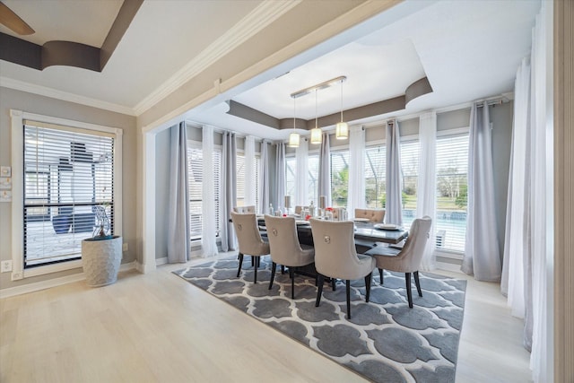 9108 Quail Ridge Dr, Manvel, TX 77578 - dining room featuring baseboards, wood finished floors, a raised ceiling, and plenty of natural light