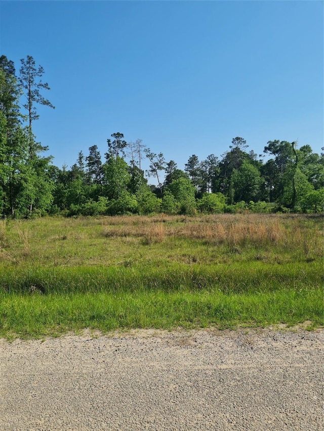1695 County Road 3434 N, Cleveland, TX 77327