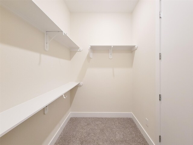 5931 Beall St A-B, Unit A-B Houston, TX 77091 - spacious closet with carpet floors