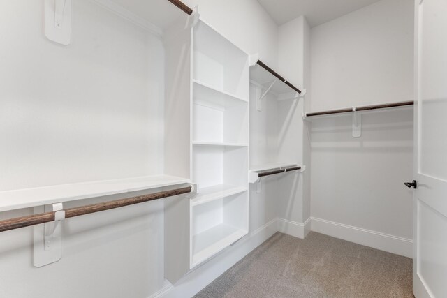 spacious closet featuring light carpet
