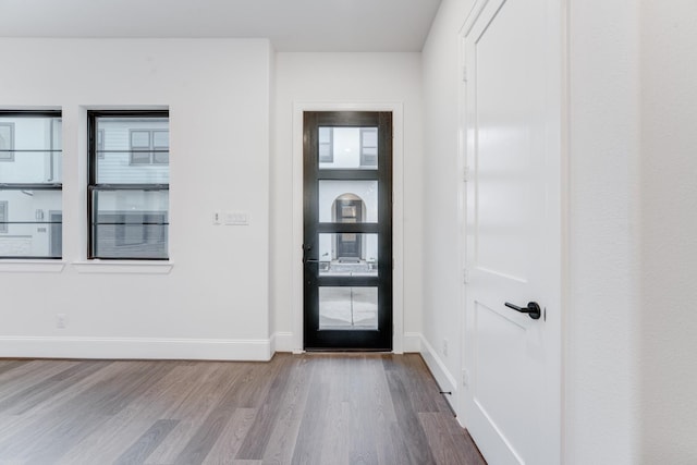 foyer entrance featuring plenty of natural light, wood finished floors, and baseboards