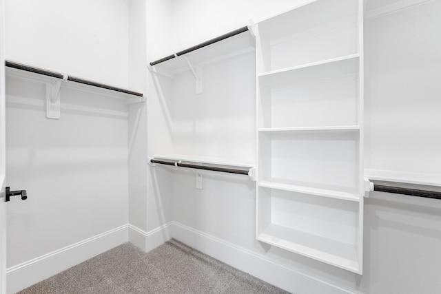 walk in closet featuring carpet flooring
