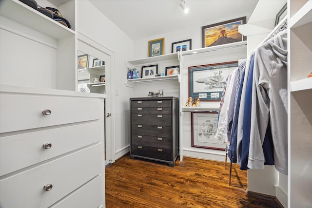 1946 Vermont St, Houston, TX 77019 - spacious closet with dark wood-style floors