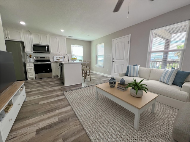 511 Caisson St, Surfside Beach, TX 77541 - living area featuring wood finished floors, ceiling fan, baseboards, and recessed lighting