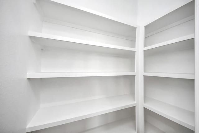 3527 Brook Valley Dr, Brookshire, TX 77423 - view of pantry