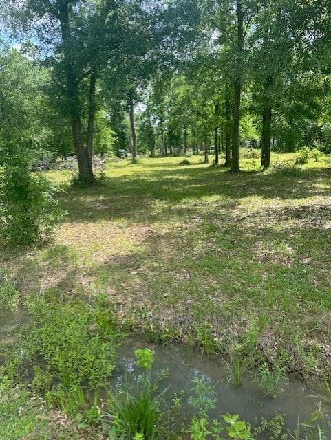 365 Kinsman Rd, Cleveland, TX 77328 - photo 1