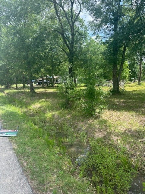 365 Kinsman Rd, Cleveland, TX 77328 - photo 2