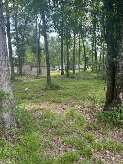 365 Kinsman Rd, Cleveland, TX 77328 - photo 6