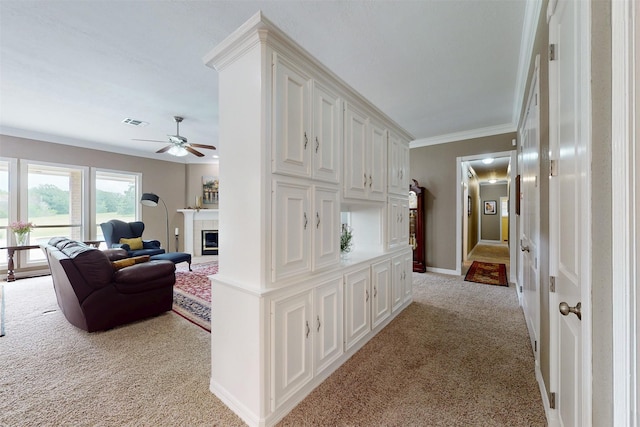 13671 Suzanne Pl, College Station, TX 77845 - corridor featuring crown molding, light colored carpet, visible vents, baseboards, and water heater