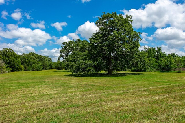 13671 Suzanne Pl, College Station, TX 77845 - view of yard with a view of trees